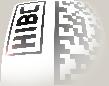 hibc_logo-hell_stern_transparent_objektiv_109x86